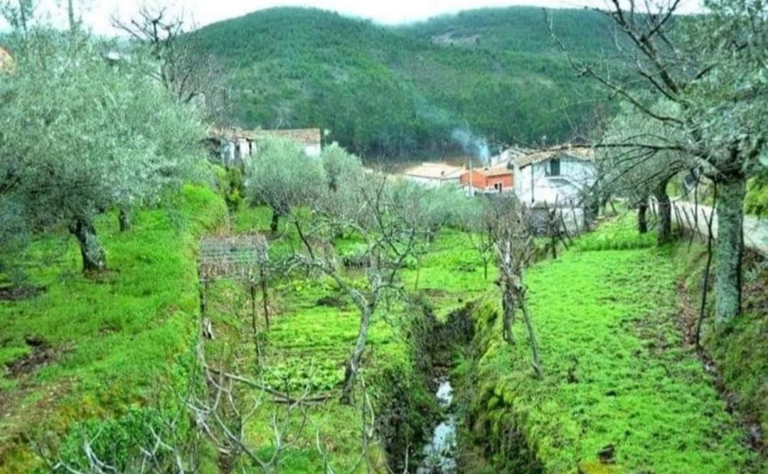 Rural Cristania Caminomorisco